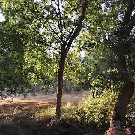 La Fresneda De Polendos Semesterbostad Cabanas de Polendos