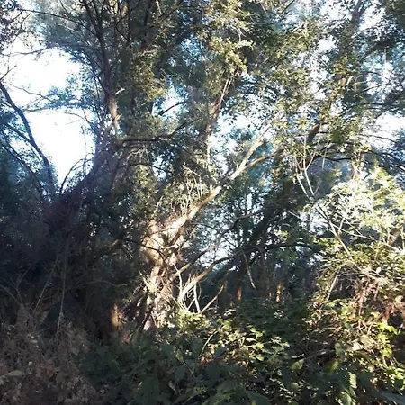 La Fresneda De Polendos *