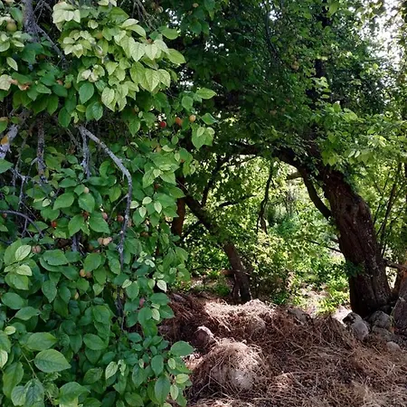 Feriehus La Fresneda De Polendos