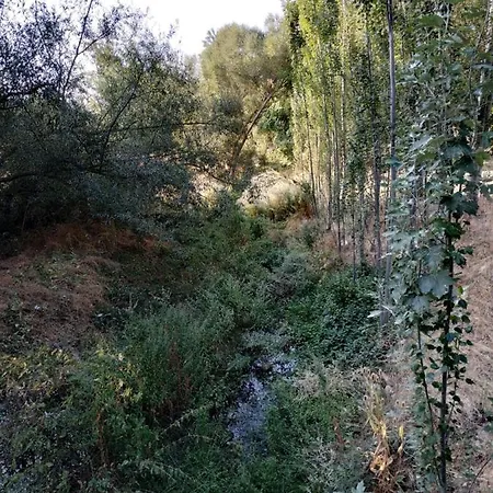 La Fresneda De Polendos Semesterbostad *