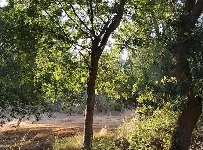 La Fresneda De Polendos Holiday home Cabanas de Polendos
