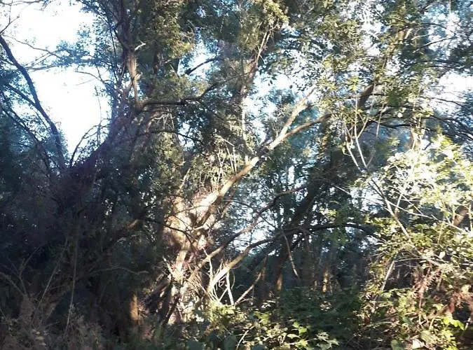 La Fresneda De Polendos *