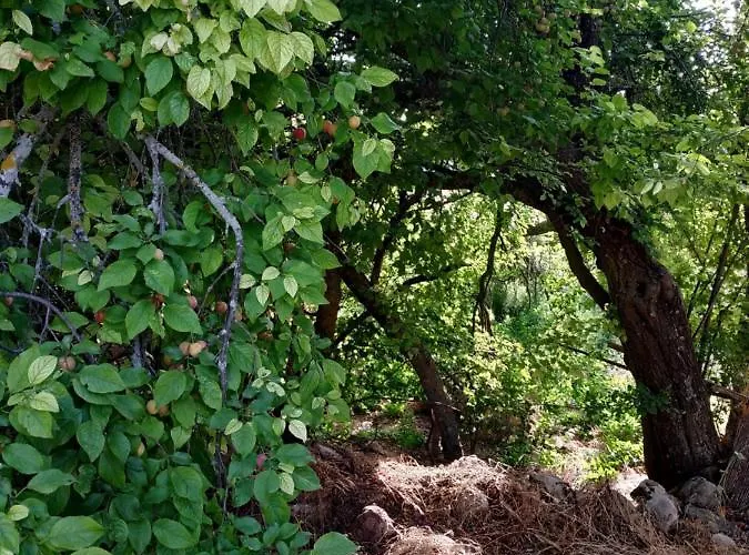 Holiday home La Fresneda De Polendos