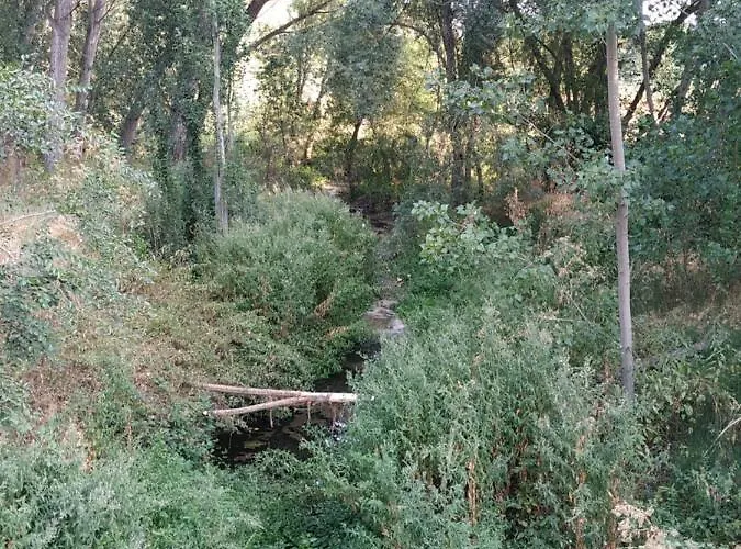 Holiday home La Fresneda De Polendos